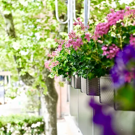 Kursaal Μπελάρια-Ιτζέα Μαρίνα