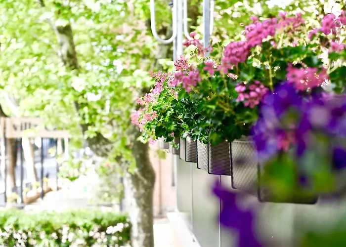 Kursaal Bellaria-Igea Marina